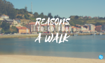 Reasons to go for a Walk (2)